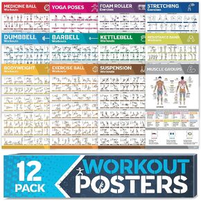 [12-PACK] Laminated Large Workout Poster Set - Perfect Workout Posters for Home Gym - Exercise Charts Incl. Dumbbell, Yoga Poses, Resistance Band, Kettlebell, Stretching & More Fitness Gym Posters