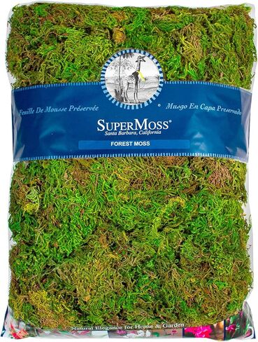 SuperMoss Forest Moss Preserved Lasting Decorative Long Fibers for Potted Plants and Crafts, Fresh Green in Saudi Arabia