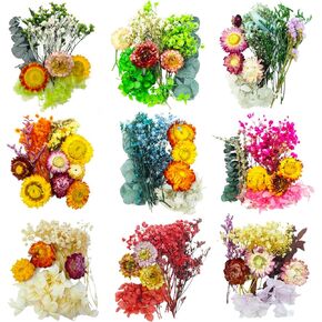 TooGet Dried Flowers 9 Bags Mixed Color Natural Real Dried Flowers Leaves for Crafts Colorful Mini Dry Wildflowers Plants for DIY Art Candle Resin, Jewelry Crafts, Weeding Home Decorations in Kuwait