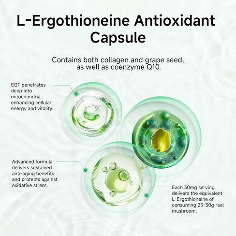 مكمل Ergothioneine 30 مجم كبسولات EGT النقية - مكمل Ergo Mushroom إمداد لمدة 90 يومًا، حماية خلوية ممتازة مضادة للشيخوخة للبالغين، دعم صحة الدماغ والقلب المناعي in Saudi Arabia
