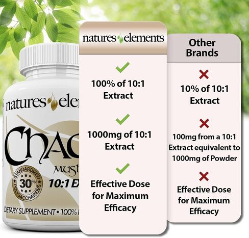 Natures Elements Chaga Mushroom – Pack of 3 – 10:1 Extract with 30% Polysaccharides – 1000mg Per Serving – 180 Veggie Capsules – Immune Support – Super Antioxidant – 3 Month Supply in Saudi Arabia