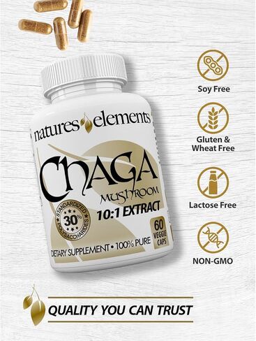 Natures Elements Chaga Mushroom – Pack of 3 – 10:1 Extract with 30% Polysaccharides – 1000mg Per Serving – 180 Veggie Capsules – Immune Support – Super Antioxidant – 3 Month Supply in Saudi Arabia