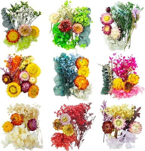 TooGet Dried Flowers 9 Bags Mixed Color Natural Real Dried Flowers Leaves for Crafts Colorful Mini Dry Wildflowers Plants for DIY Art Candle Resin, Jewelry Crafts, Weeding Home Decorations in Kuwait