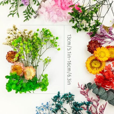 TooGet Dried Flowers 9 Bags Mixed Color Natural Real Dried Flowers Leaves for Crafts Colorful Mini Dry Wildflowers Plants for DIY Art Candle Resin, Jewelry Crafts, Weeding Home Decorations in Kuwait