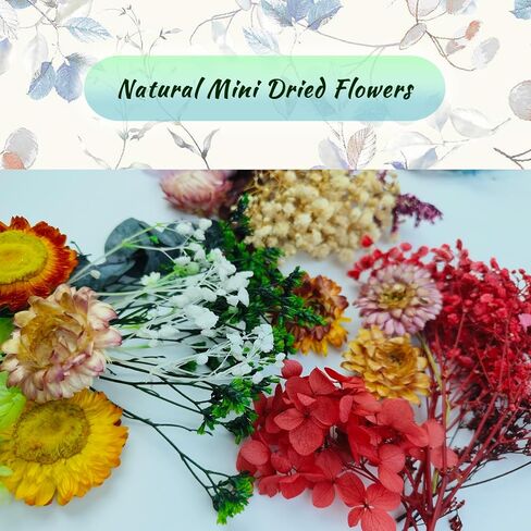 TooGet Dried Flowers 9 Bags Mixed Color Natural Real Dried Flowers Leaves for Crafts Colorful Mini Dry Wildflowers Plants for DIY Art Candle Resin, Jewelry Crafts, Weeding Home Decorations in Kuwait
