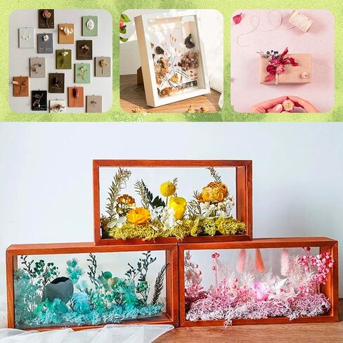 TooGet Dried Flowers 9 Bags Mixed Color Natural Real Dried Flowers Leaves for Crafts Colorful Mini Dry Wildflowers Plants for DIY Art Candle Resin, Jewelry Crafts, Weeding Home Decorations in Kuwait