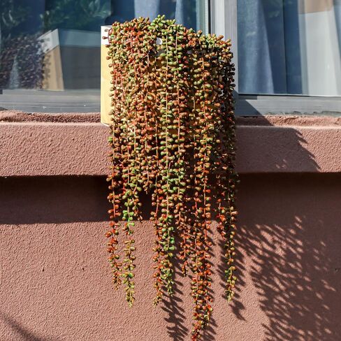 6PCS Artificial Succulents Hanging Plants,27.5 Inch Fake String of Pearls Greenery Plants 5 Branches for Home Garden Office Party Balcony Wall Indoor Outdoor Decoration in Saudi Arabia