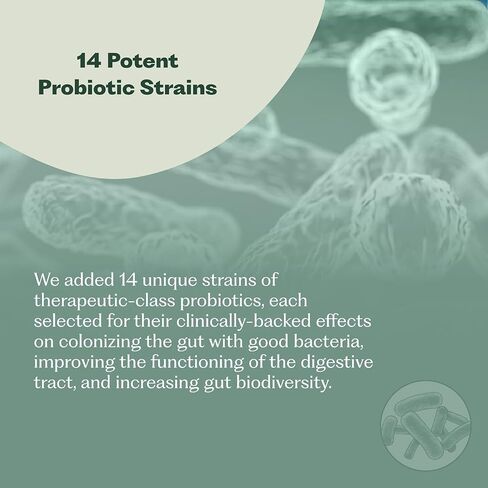 Synbiotic 365 Triple Action Prebiotics and Probiotics for Women & Men | Supplement with B Vitamins, Biotin & Niacin | Gluten Free, Non-GMO & Vegan | 20 Billion CFU | 30 Servings in Saudi Arabia