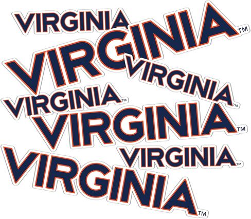 Desert Cactus University of Virginia Cavaliers UVA Wahoos Stickers Vinyl Decals Laptop Water Bottle Car Scrapbook T3 (Type 3-1) in Saudi Arabia