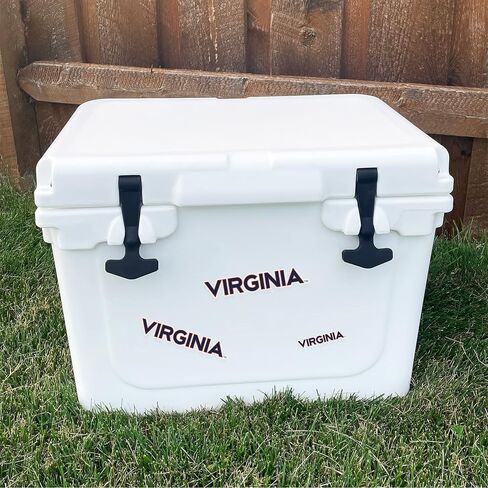Desert Cactus University of Virginia Cavaliers UVA Wahoos Stickers Vinyl Decals Laptop Water Bottle Car Scrapbook T3 (Type 3-1) in Saudi Arabia