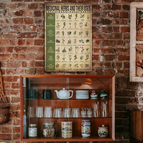 Kitchen Witchery Decor Vintage Metal Tin Sign Kitchen Witchery Signs Witch Knowledge Poster Kitchen Wall Decorations 8X12 inch in Saudi Arabia