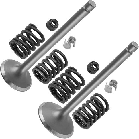 Caltric Intake and Exhaust Valve Kit Compatible with Kawasaki Bayou 300 KLF300 4x4 1986-2005 in Saudi Arabia