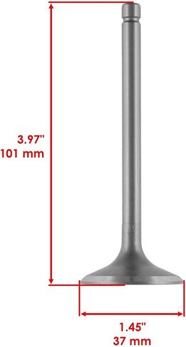 Caltric Intake and Exhaust Valve Kit Compatible with Kawasaki Bayou 300 KLF300 4x4 1986-2005 in Saudi Arabia