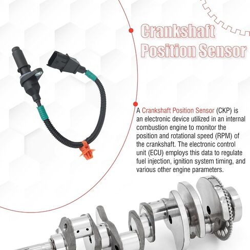 391802B020 Crankshaft Position Sensor Compatible with Rio 2012-2017 2020 1.6L Soul 2013-2015 1.6L 2.0L L4 in Saudi Arabia