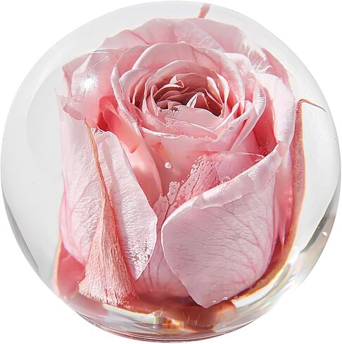 وزن ورق الورد - وردة حقيقية محفوظة في كرة زجاجية كريستالية، هدية فريدة وديكور منزلي أنيق، رمز الحب والجمال والرومانسية لعيد الميلاد أو الذكرى السنوية أو الزفاف (وردي أحمر الخدود، 2.6 بوصة) in Kuwait
