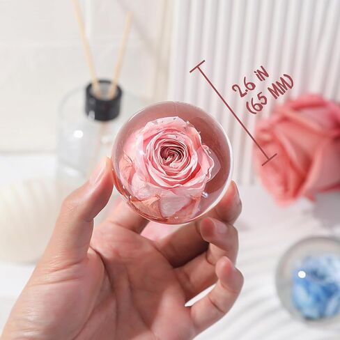 وزن ورق الورد - وردة حقيقية محفوظة في كرة زجاجية كريستالية، هدية فريدة وديكور منزلي أنيق، رمز الحب والجمال والرومانسية لعيد الميلاد أو الذكرى السنوية أو الزفاف (وردي أحمر الخدود، 2.6 بوصة) in Kuwait