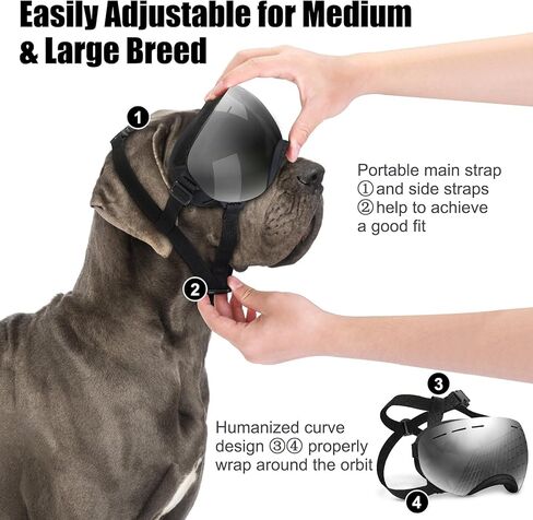 نظارات للكلاب، نظارات للكلاب من السلالات الكبيرة، نظارات شمسية للكلاب مع حزام قابل للتعديل للحماية من الأشعة فوق البنفسجية، حماية لعيون الكلاب مقاومة للرياح. in Kuwait