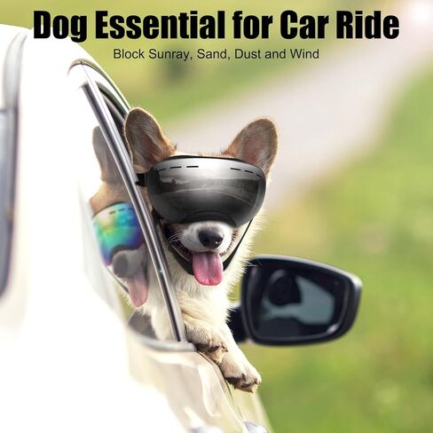 نظارات للكلاب، نظارات للكلاب من السلالات الكبيرة، نظارات شمسية للكلاب مع حزام قابل للتعديل للحماية من الأشعة فوق البنفسجية، حماية لعيون الكلاب مقاومة للرياح. in Kuwait