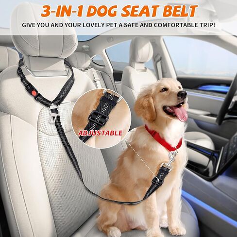 حزام للكلاب (أسود غامق) in Kuwait