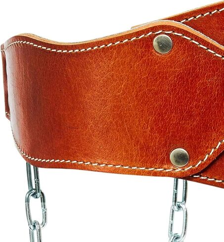 حزام جلدي من Schiek Sports Model L5008 in Kuwait