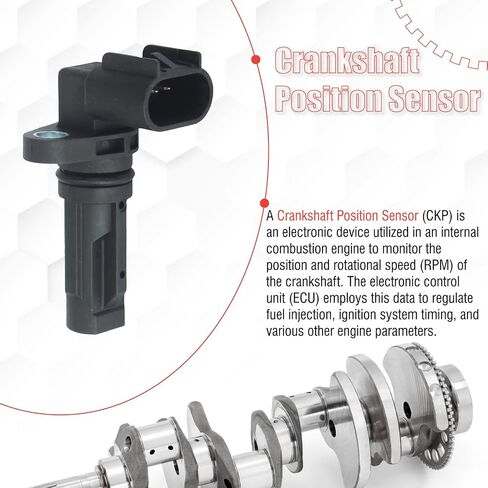 12574323 Crankshaft Position Sensor Compatible with Rendezvous 2006-2007 Terraza Equinox Uplander G6 Montana Relay 2005-2006 Malibu 2004-2006 Monte Carlo Torrent 2006 in Saudi Arabia