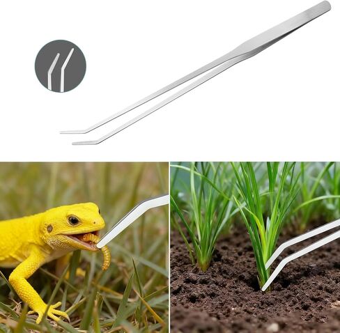 Carefree Fish 4IN1 Carbon Fiber Aquarium Cleaning Tools Long Handle Adjustable Length 18~24Inch Fish Tank Cleaner Kit Alage Scraper Scrubber Brushes Set in Kuwait