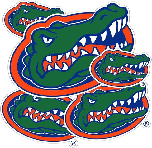 Desert Cactus University of Florida Stickers Gators Vinyl Decals Laptop Water Bottle Car Scrapbook T3 (Type 3-6) in Saudi Arabia