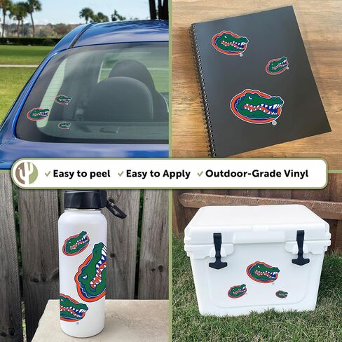 Desert Cactus University of Florida Stickers Gators Vinyl Decals Laptop Water Bottle Car Scrapbook T3 (Type 3-6) in Saudi Arabia