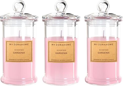 شمعة معطرة بشمع الصويا على شكل زجاجة، شموع علاجية معطرة للمنزل أو كهدية عيد ميلاد/عطلة لأحبائك (حرق 3.5 أونصة/24 ساعة) in Saudi Arabia