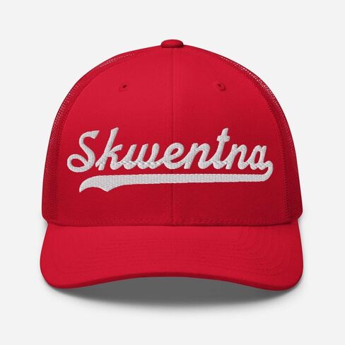 Skwentna قبعة Skwentna قبعة سائق الشاحنة البيسبول النصي قبعة مطرزة خمر شبكة رياضية سووش هدية تذكارية أغطية الرأس AK in Saudi Arabia
