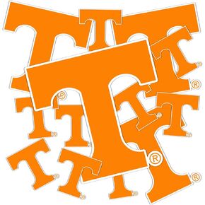 Desert Cactus University of Tennessee Stickers UT Knoxville Volunteers Vols Vinyl Decals Laptop Water Bottle Car Scrapbook 11.46x8.9 Sheet T3 (Type 3-5) in Saudi Arabia