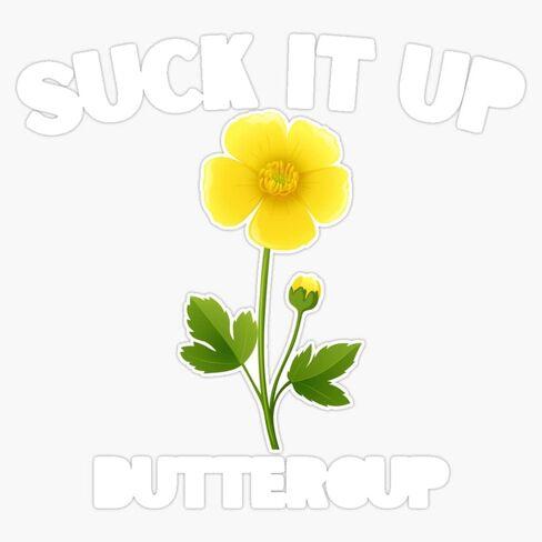 Magnet Suck It Up Buttercup - ملصق جرافيك مقولة مضحكة اقتباس مغناطيسي من الفينيل مغناطيسي مقاس 5 بوصات in Saudi Arabia