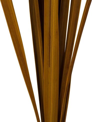 Vickerman 18-30" Brown Snake Grass. Includes 36 Stems (3 - 12 Stem Bundles), Dried in Saudi Arabia
