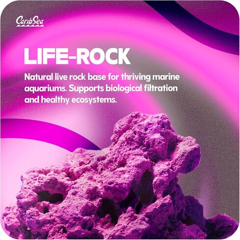 LifeRock Dreamscapes Aquascaping Kit, 5-15 Gallon Tank Size in Saudi Arabia