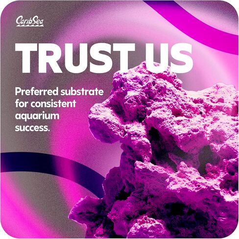LifeRock Dreamscapes Aquascaping Kit, 5-15 Gallon Tank Size in Saudi Arabia