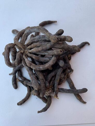 Ashe de Santo| Ache de Santo IFA Santeria Ashe de Santo Eru OBI Kola Osun in Saudi Arabia