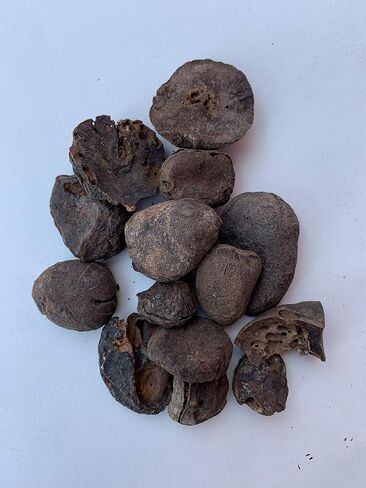 Ashe de Santo| Ache de Santo IFA Santeria Ashe de Santo Eru OBI Kola Osun in Saudi Arabia