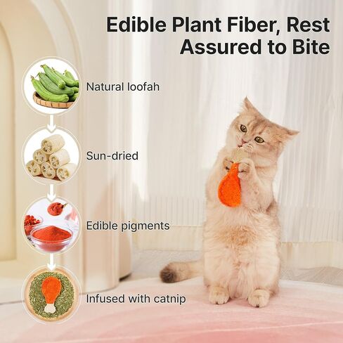Potaroma Loofah Cat Chew Toys with Catnip and Silvervine, 3PCS Interactive Kitten Loofa Dental Teething and Biting Catnip Toys for Cat Dental Cleaning, 3.0 Inches in Saudi Arabia