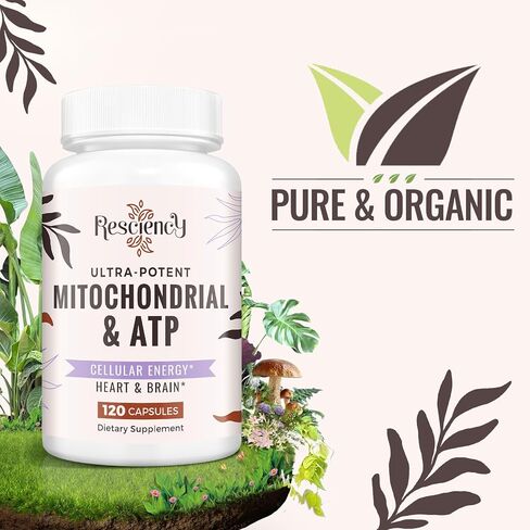 2326 مجم من مكملات الميتوكوندريا مع ATP، والفيتامينات، وCoQ10 وPQQ، أكثر فعالية من الكرياتين HMB وأكسيد النيتريك، والطاقة، والقدرة على التحمل، والقوة، والتعافي والعضلات، عضوي، 120 كبسولة in Kuwait