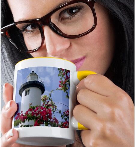 3dRose mug_72961_4 "Puerto Rico, Viegues Island, lighthouse of Rincon-CA27 BJA0020 - Janyes Gallery" Two Tone Black Mug, 11 oz, Multicolor in Saudi Arabia