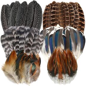 60pcs Natural Turkey Feathers, Pheasant Feathers, Spotted Feathers, Duck Feathers, Swimming Feathers and Black Heart Tip Feathers, 6 Styles Feathers for Crafts DIY Hat Floral Arrangements Decorations
