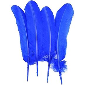 Touch of Nature 4-Piece Turkey Feather for Art and Craft, 12.25 to 13-Inch, White