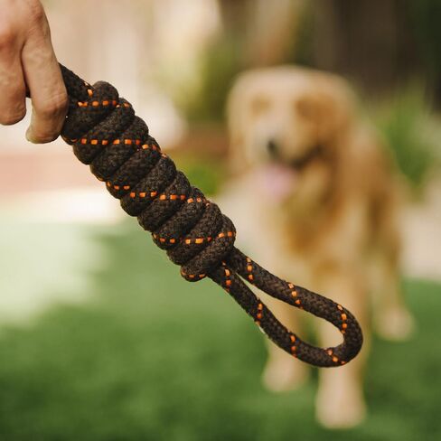 P.L.A.Y. Cute Outdoor Dog Toys - Scout & About Tug Rope Chew Toy, Great for Puppies & Small, Medium, Large Dogs - Machine Washable, Ultra-Durable, Good for Agility Training, Tugging, Fetch (Small) in Kuwait