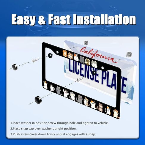 Cute Cats License Plate Frame Animals License Plate Holder Stainless Steel Funny Car Accessories Decoration for Men Women 12" x 6" in Kuwait