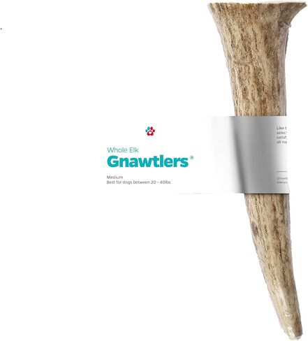 Pet Parents Gnawtlers® - Premium Split Antlers for Dogs, Naturally Shed Split Elk Antlers, All Natural Split Elk Antler Dog Chew, Specially Selected from The Heartland Regions (Small) in Kuwait