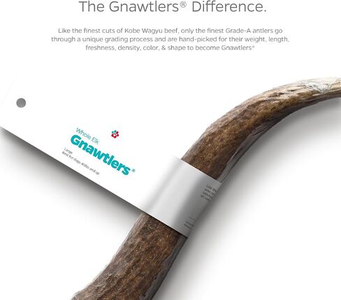 Pet Parents Gnawtlers® - Premium Split Antlers for Dogs, Naturally Shed Split Elk Antlers, All Natural Split Elk Antler Dog Chew, Specially Selected from The Heartland Regions (Small) in Kuwait