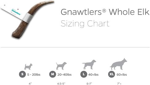 Pet Parents Gnawtlers® - Premium Split Antlers for Dogs, Naturally Shed Split Elk Antlers, All Natural Split Elk Antler Dog Chew, Specially Selected from The Heartland Regions (Small) in Kuwait