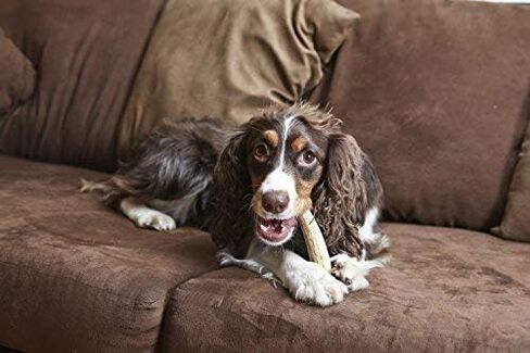 Pet Parents Gnawtlers® - Premium Split Antlers for Dogs, Naturally Shed Split Elk Antlers, All Natural Split Elk Antler Dog Chew, Specially Selected from The Heartland Regions (Small) in Kuwait