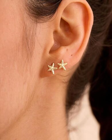 أقراط نجم البحر على الشاطئ - أقراط على شكل صدفة سمكة البحر مطلية بالذهب/الذهب الأبيض عيار 14 قيراط، مجوهرات لقضاء العطلات الصيفية الساحلية للنساء in Kuwait