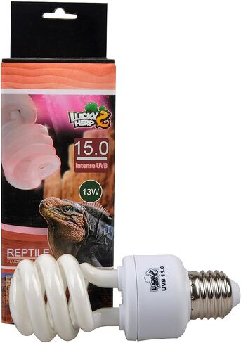 LUCKY HERP 15.0 UVB Intense Fluorescent Bulb,Terrarium Lamp for Reptiles,E26,Screw Thread (26 Watt) in Kuwait